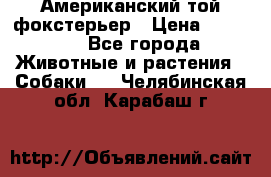 Американский той фокстерьер › Цена ­ 25 000 - Все города Животные и растения » Собаки   . Челябинская обл.,Карабаш г.